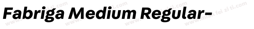 Fabriga Medium Regular字体转换